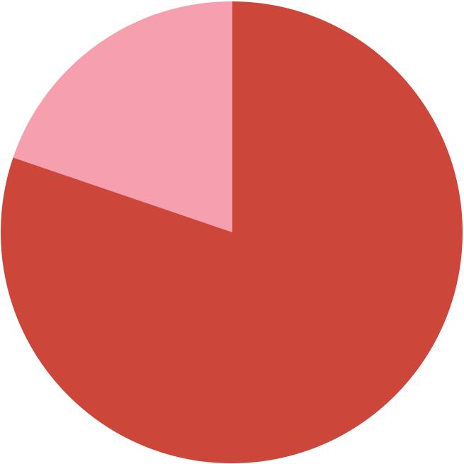 Pie chart with 80% in red and 20% in pink